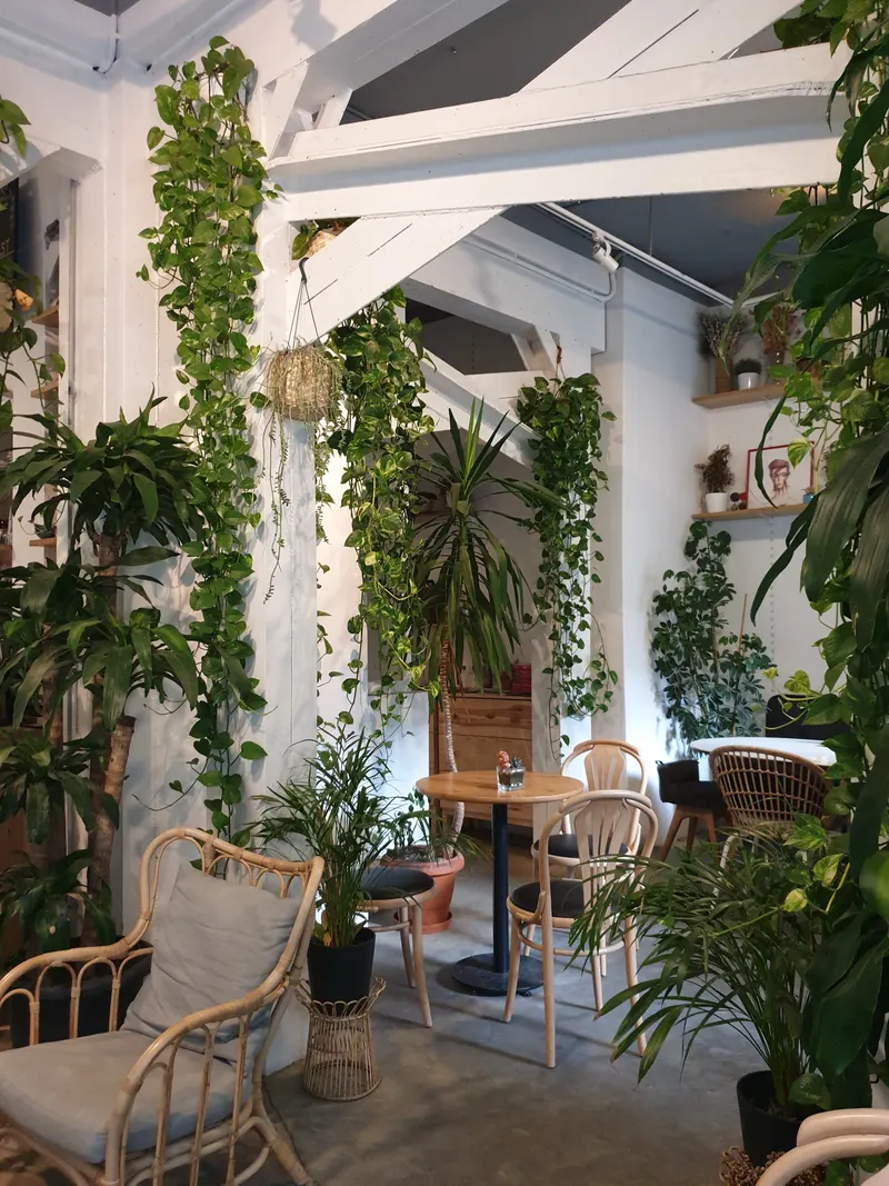 Interior de cafeteria com plantas, imagem ilustrativa.