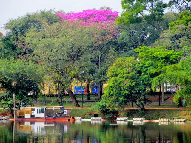 Lagoa do Taquaral e suas árvores, fotografia de arquivo.