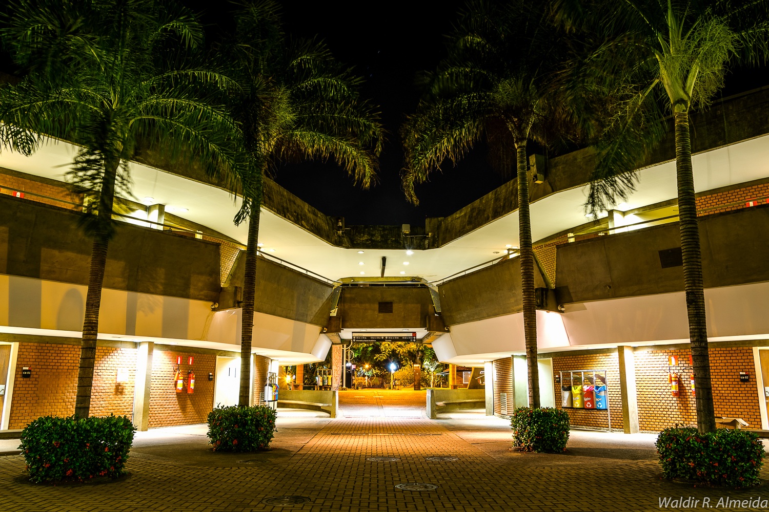 Arquitetura iluminada do Ciclo Básico da Unicamp à noite, com palmeiras e um caminho central no campus de Barão Geraldo; foto de arquivo de 2015.