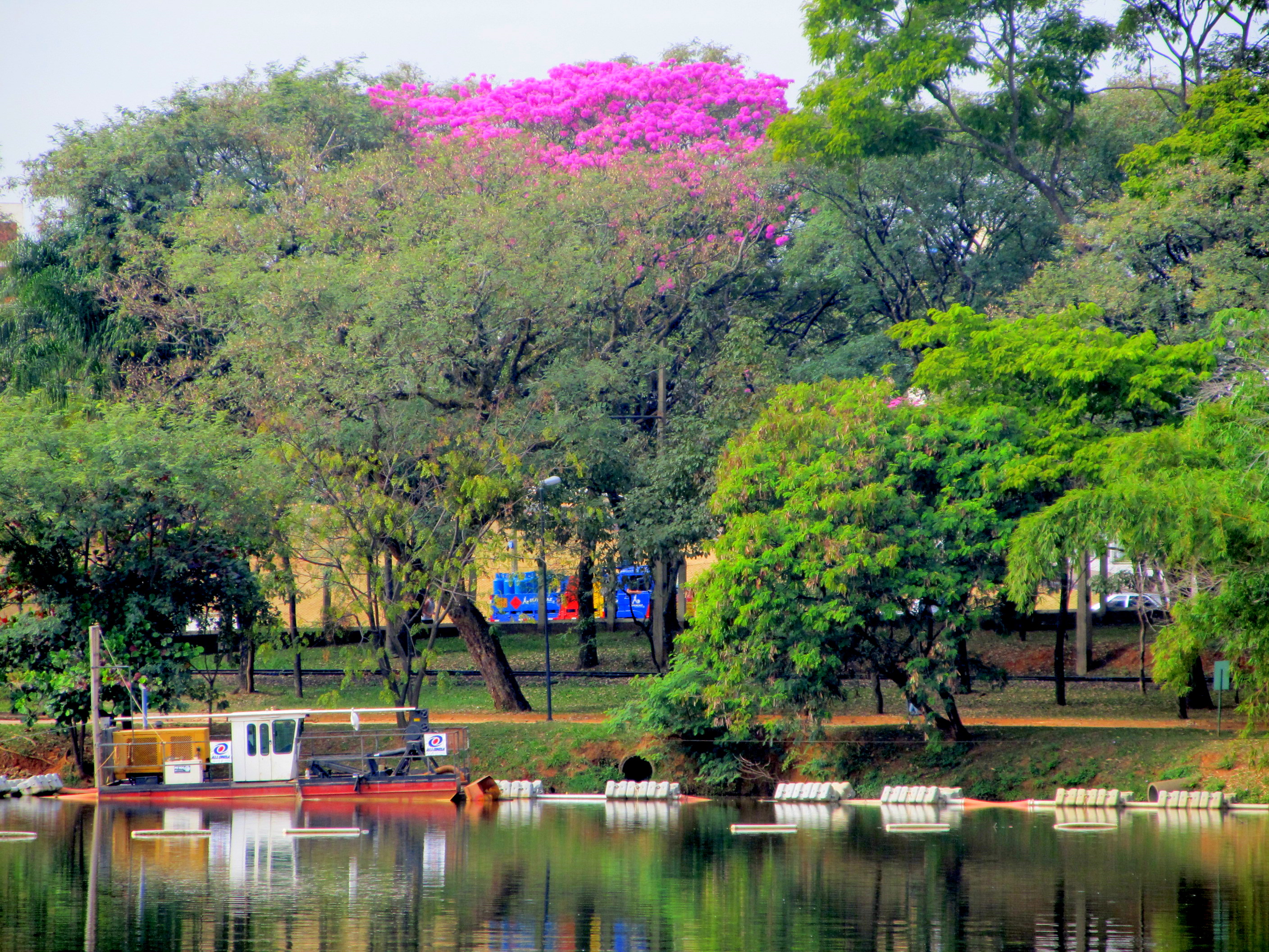 Lagoa do Taquaral em fotografia de maio de 2011